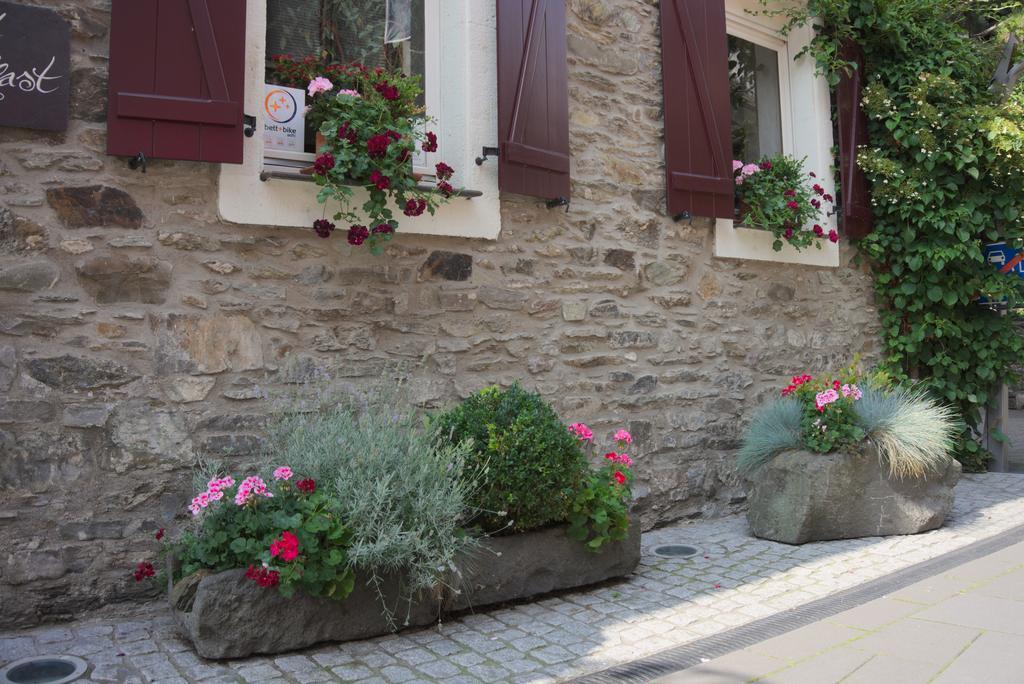 Hotel Garni Altes Winzerhaus Moselschaenke Гкоберн-Гондорф Экстерьер фото