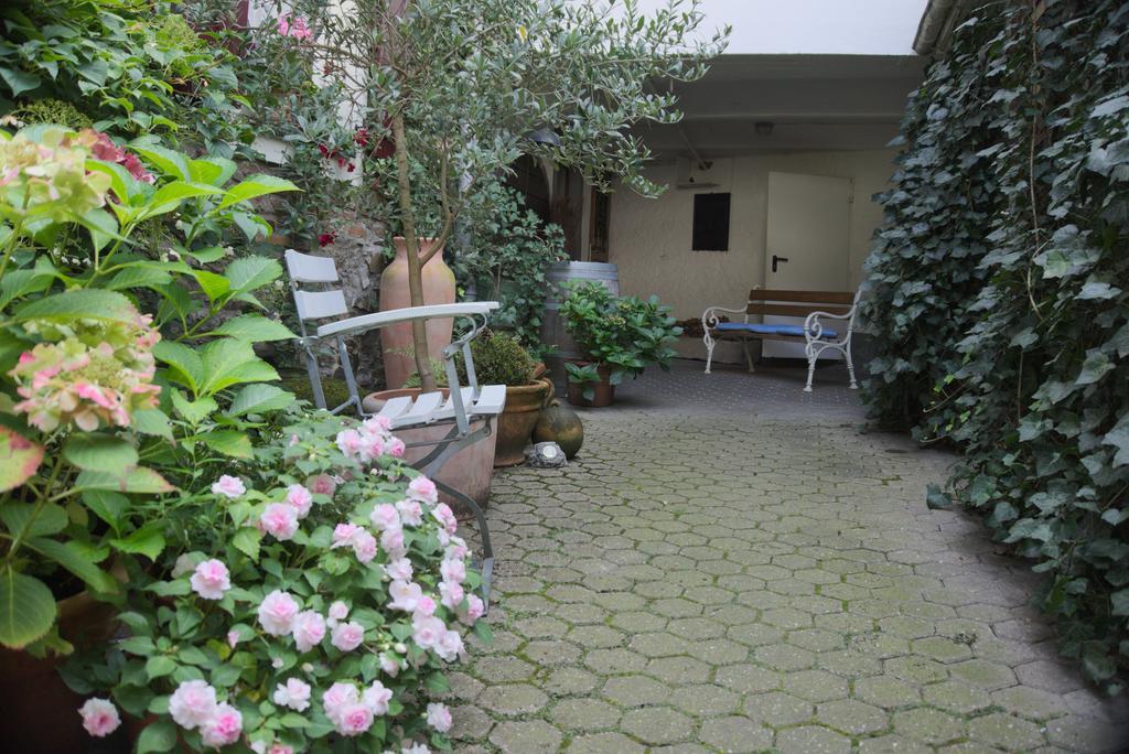 Hotel Garni Altes Winzerhaus Moselschaenke Гкоберн-Гондорф Экстерьер фото